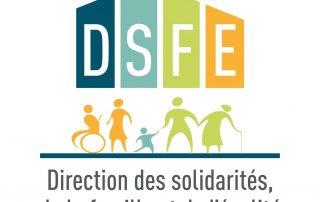 Site de la DSFE