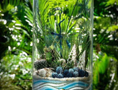 Garden Glass Tahiti