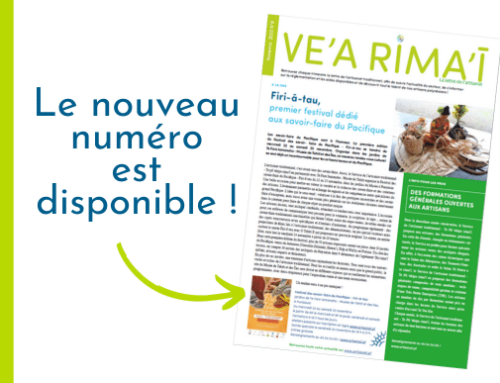 Le Ve’a Rima’ī n°8 est en ligne