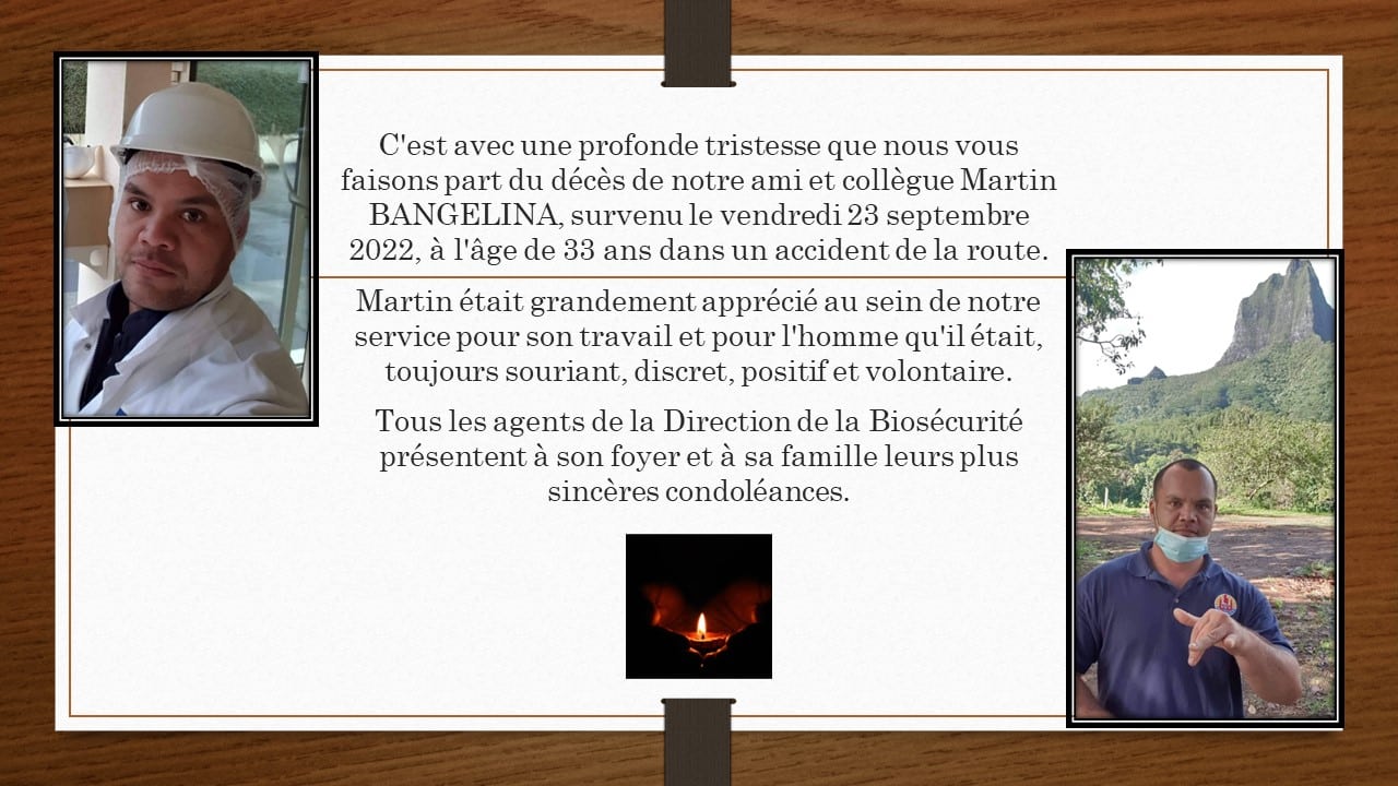 MémoireMartin