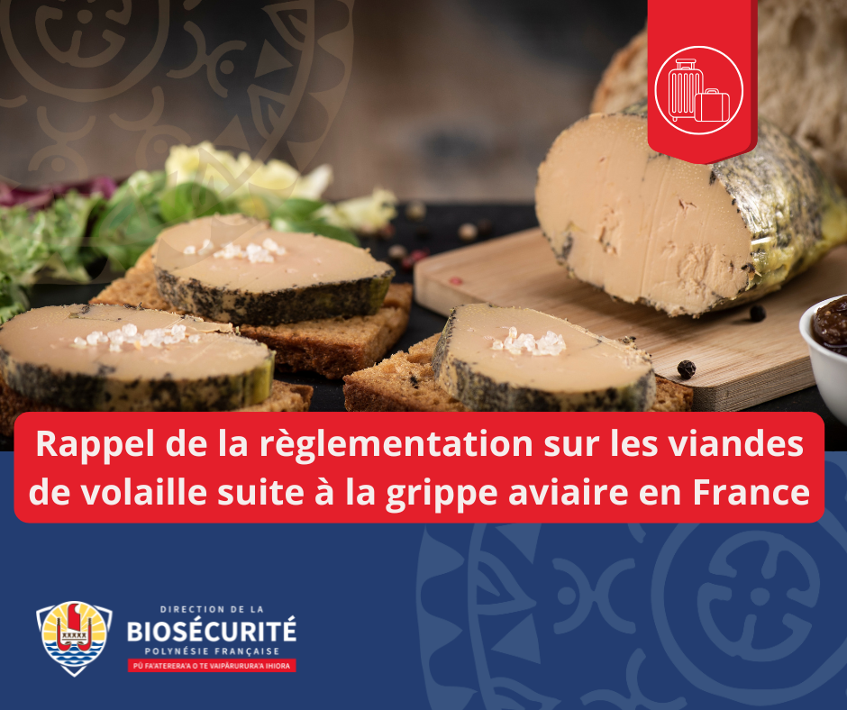 19/12/2025 – Rappel sur l&rsquo;importation de viandes de volaille en provenance de France