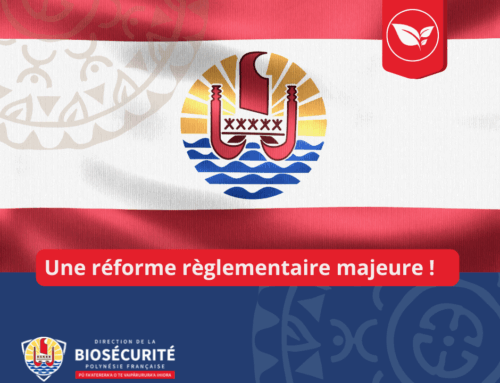 18/03/2026 – Nouvelle règlementation concernant l&rsquo;importation des végétaux et produits végétaux