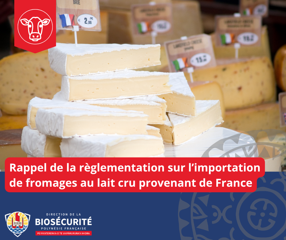 Fromage Lait Cru De France