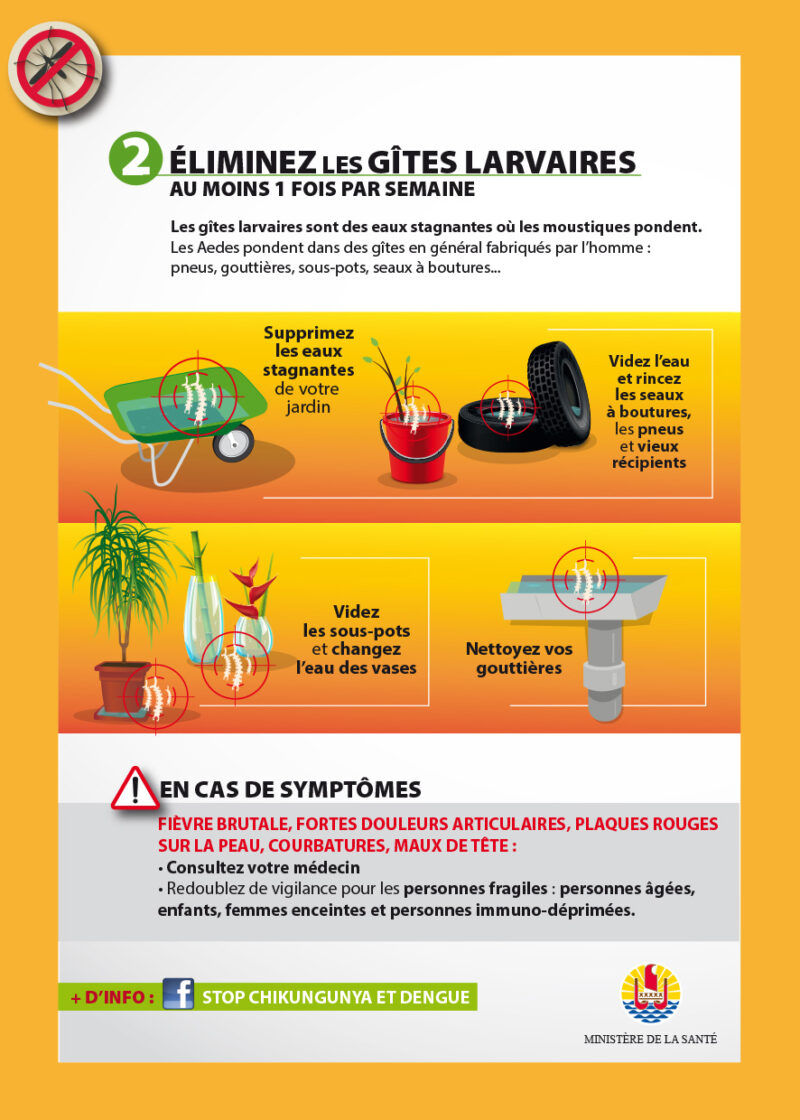 Infographie Lutte Contre La Dengue Et Le Chikungunya CSE Infographie Lutte Contre La Dengue Et Le Chikungunya CSE