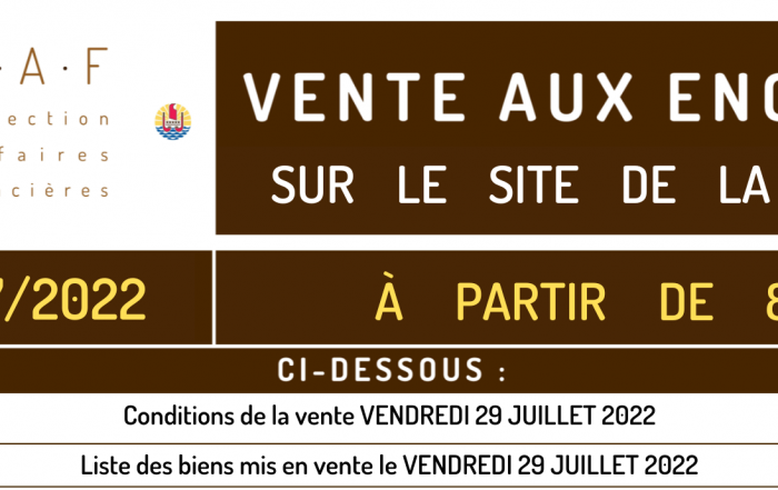 Vente aux enchères 18/11/2022