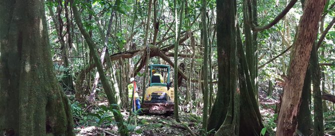 Début des opérations de défrichage du lotissement agricole Rive gauche de la vallée de Opunohu, Mo'orea. Lenka OZABAL, Juin 2018