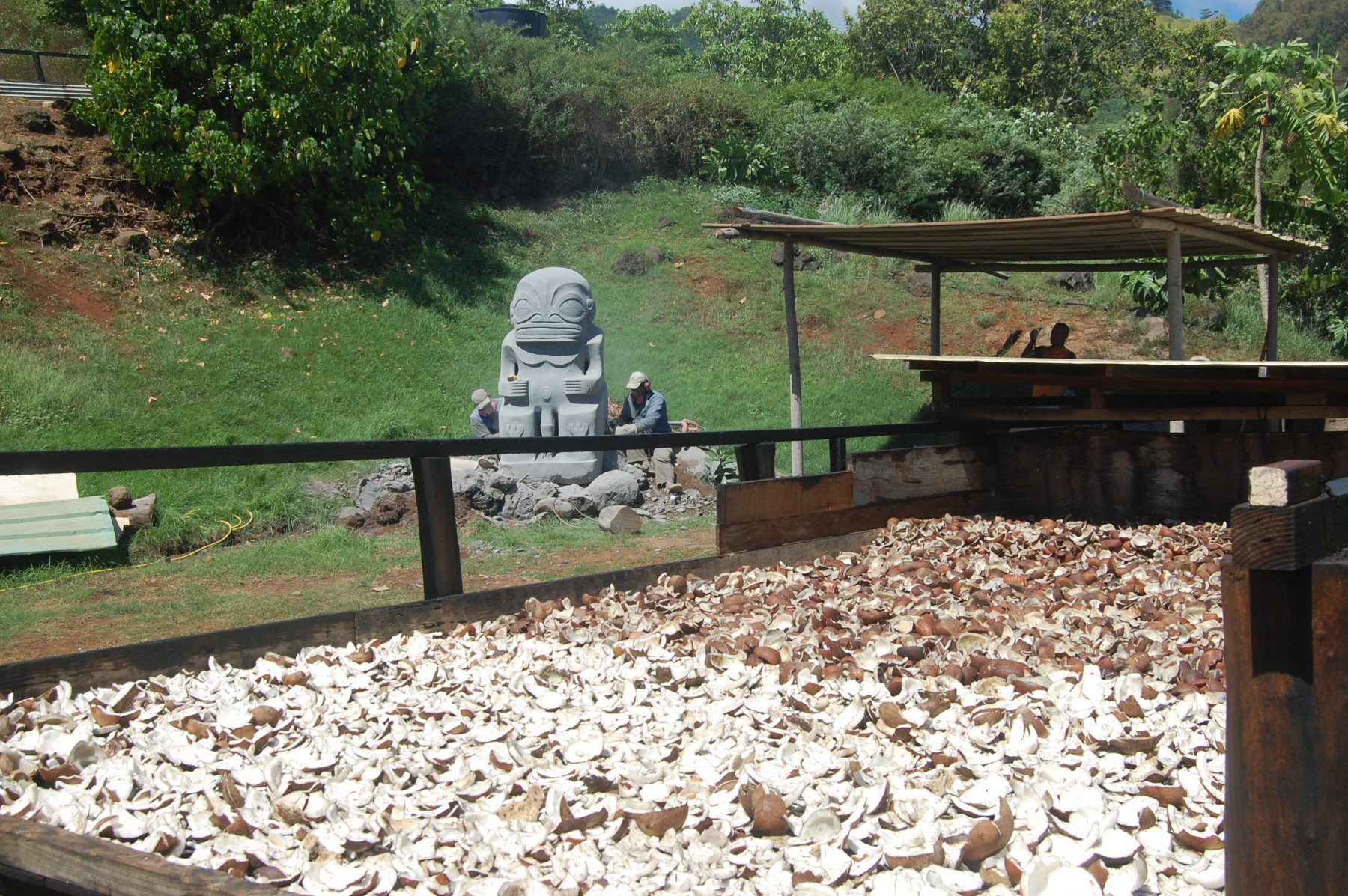 coprah_tiki_hiavoa160625