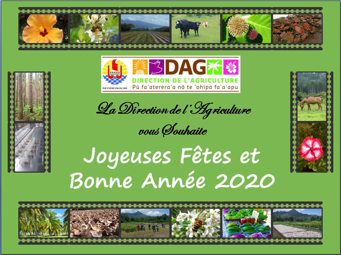 Carte De Voeux