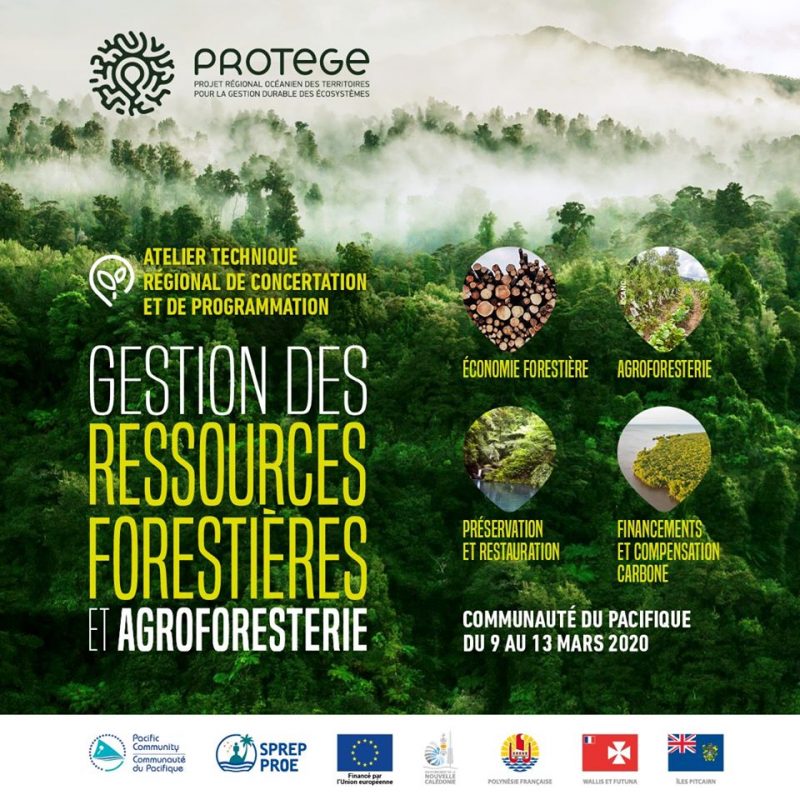 Adjectif Relatif à L Exploitation De La Forêt