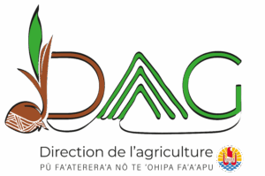 DAG Logo