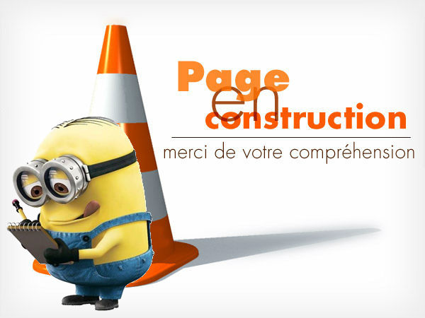 page_en_construction1