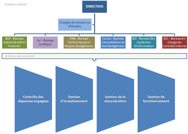DBF_organigramme
