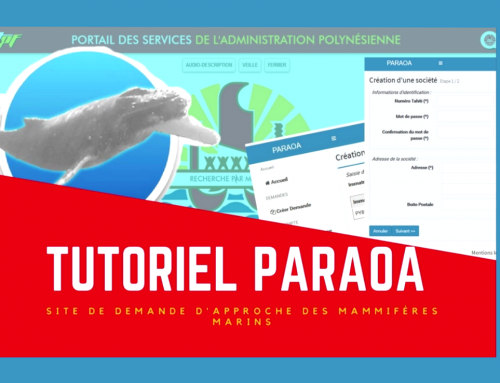 Tutoriel du téléservice Paraoa