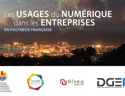 Etude des usages numériques des entreprises en Polynésie