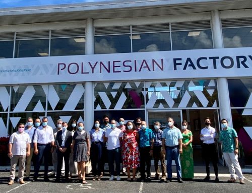 Présentation du concept de la POLYNESIAN FACTORY