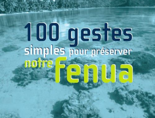 100 gestes (2003, 118 p.)