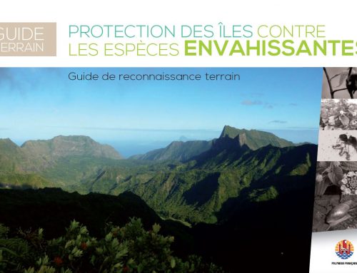 Guide de reconnaissance des espèces envahissantes de Polynésie (2020)