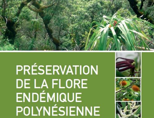 Préservation de la flore endémique Polynésienne