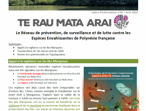 Newsletter Espèces envahissantes n°40 (Avril 2024)