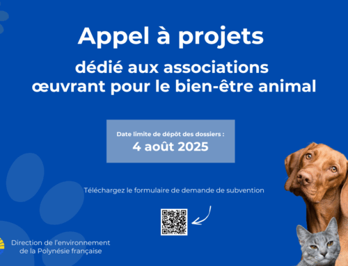 Appel à projets 2025 en faveur du bien-être animal