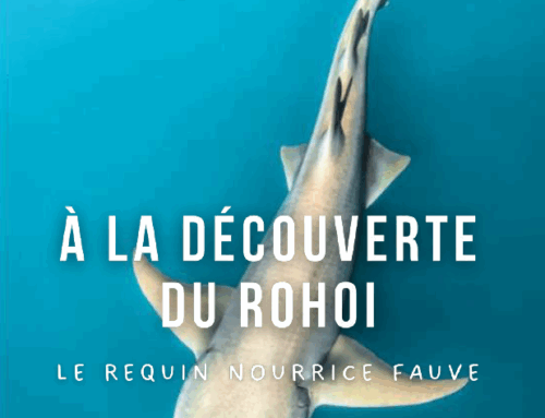 Livret pédagogique « A la découverte du Rohoi (requin nourrice fauve)