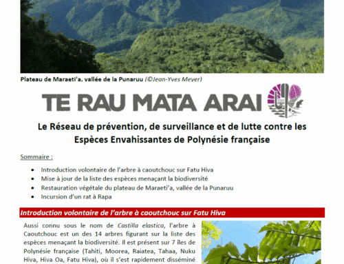 Newsletter Espèces envahissantes n°46 (Octobre 2025)