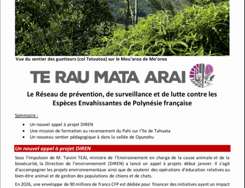 Newsletter Espèces envahissantes n°47 (Janvier 2026)