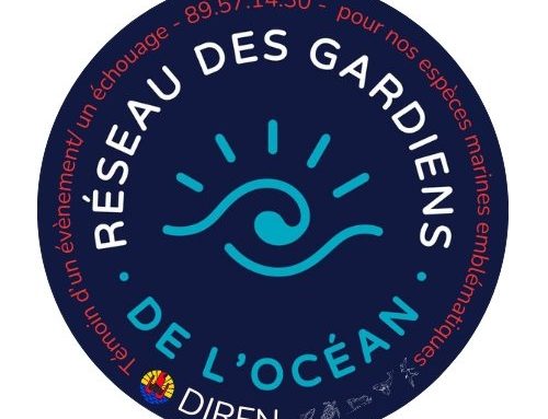 Consultation – Gestion, animation et développement du réseau des Gardiens de l&rsquo;océan