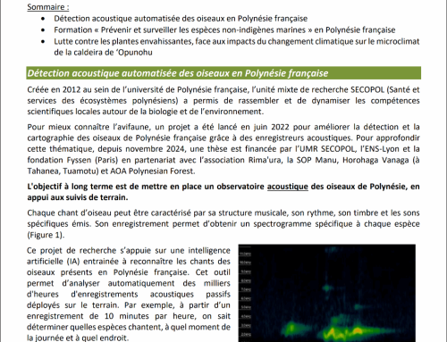 Newsletter Espèces envahissantes n°49 (Septembre 2026)