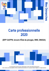 MD.2020.CARTE PRO BPPGAPPN2 Information de declaration d'enseignement