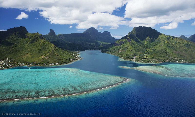 Moorea lagoon