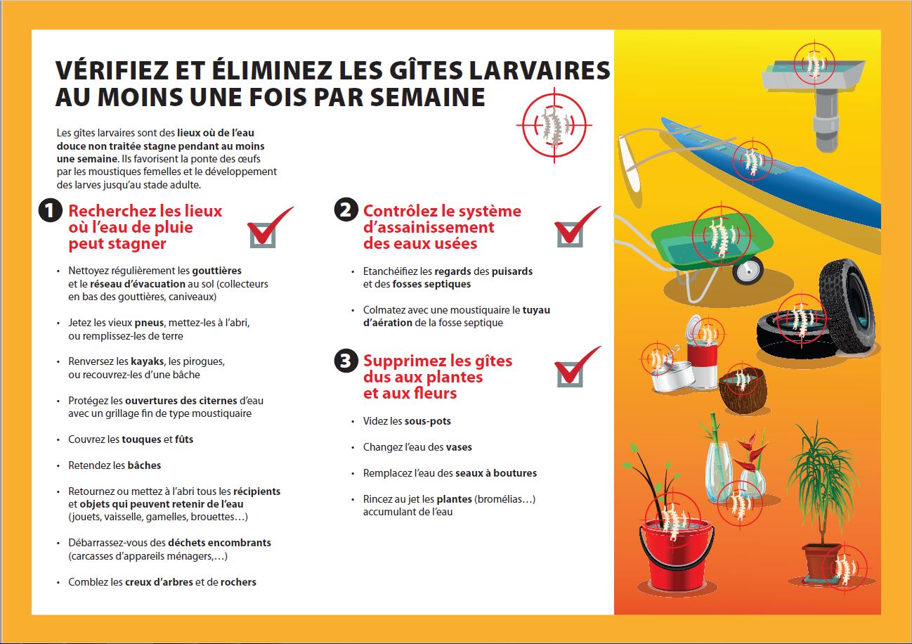 Flyer élimination gîtes_2018