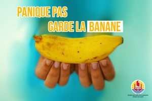 ALIMENTATION-13