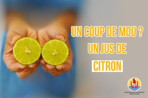 ALIMENTATION-14
