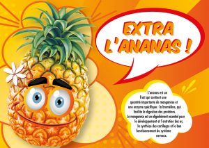 ALIMENTATION-23