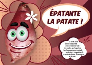 ALIMENTATION-38