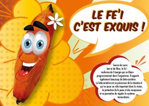 ALIMENTATION-41