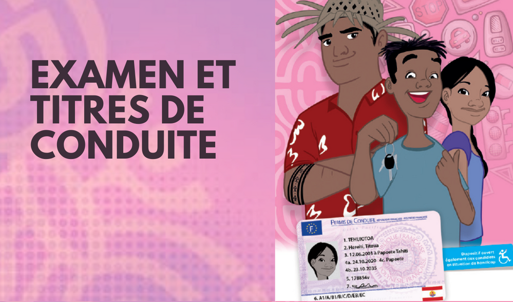 TITRES DE CONDUITE (2)