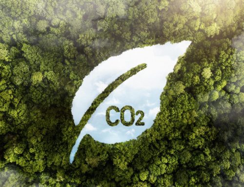 L’empreinte carbone en Polynésie française, un défi de taille !