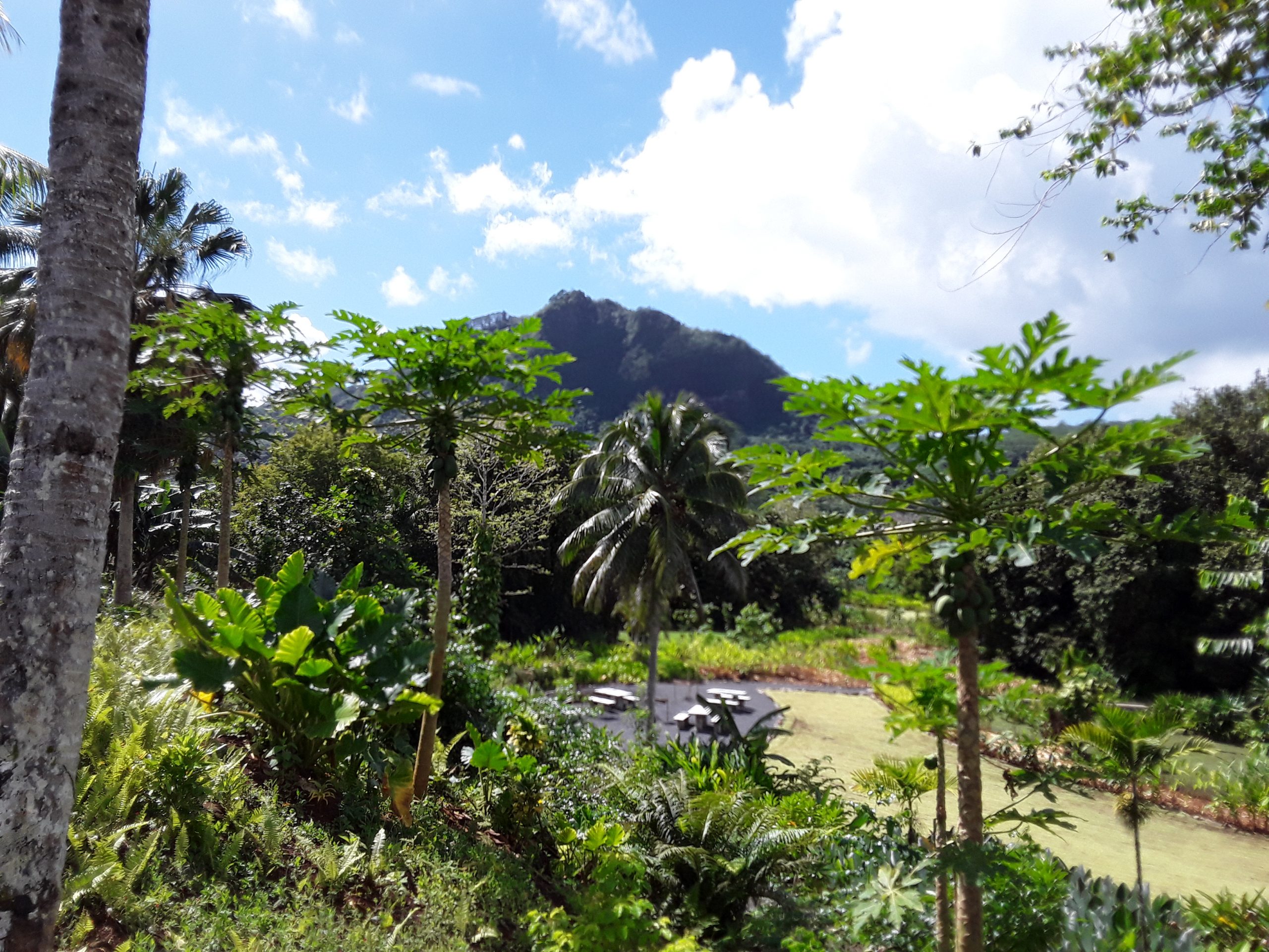 Jardin de Faaroa