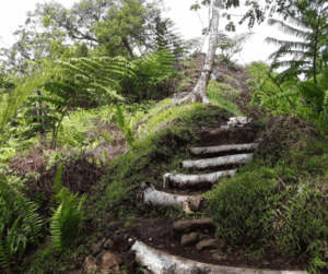 Le Sentier de la crête des Macarangas