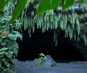 Les Grottes de Mara'a
