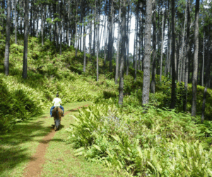 Sentier de Tōvi'i