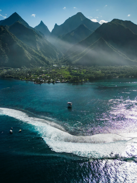 Blog Portrait 450 X 600 Px (1)