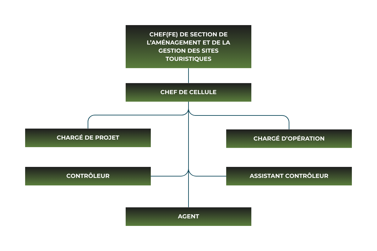 Organigramme Cellule Etudes & Travaux 1200 X 800