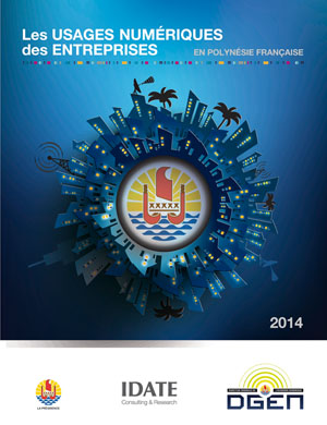 Rapport sur les usages des entreprises en Polynésie française 2014