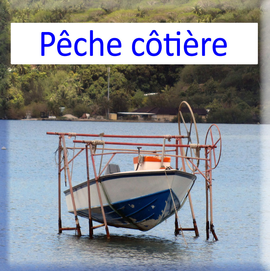 activités pêche côtière