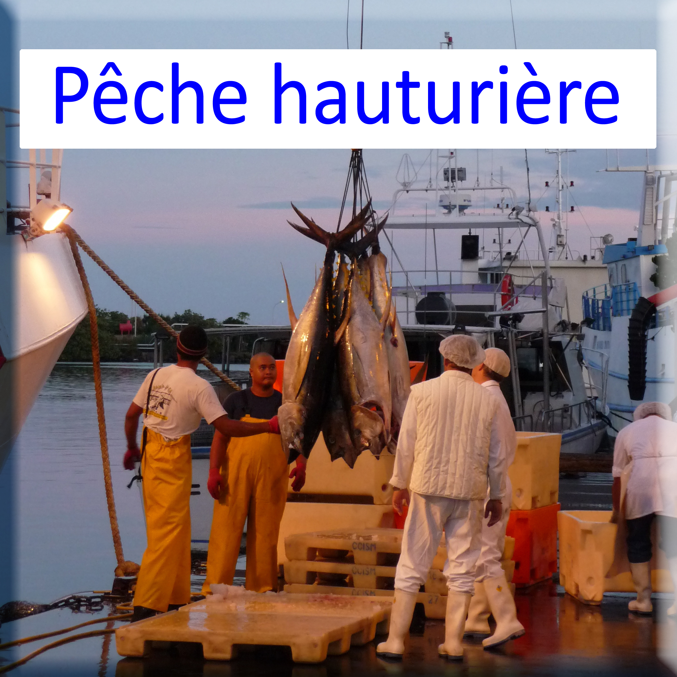 Activités pêche hauturière