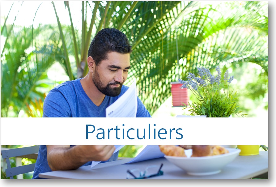 Accéder à la rubrique Particuliers du site internet de la DICP