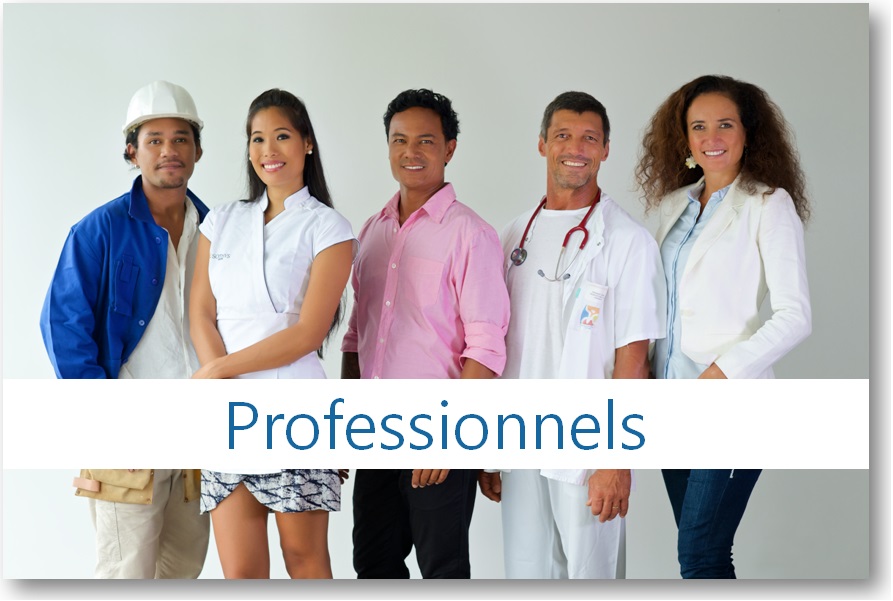 Accéder à la rubrique Professionnels du site internet de la DICP